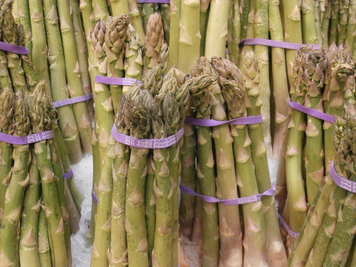 UC 157 Asparagus