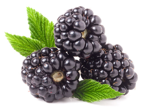 Blackberry
