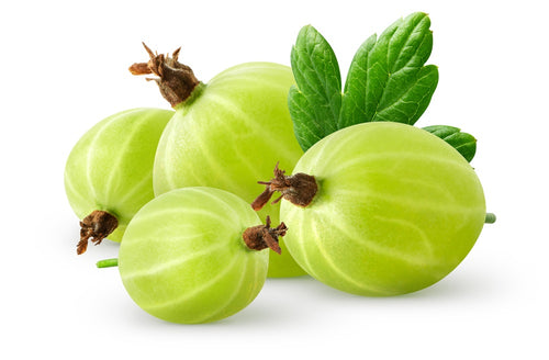 Gooseberry
