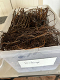 Heritage Raspberry bare root