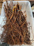 Heritage Raspberry bare root