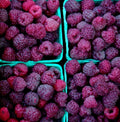 Royalty Purple Raspberry
