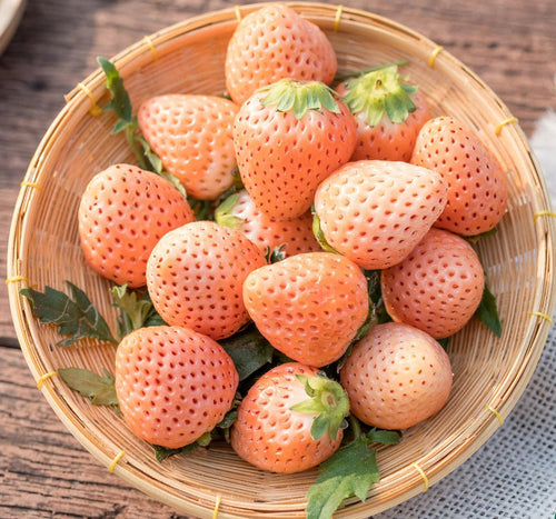Pink Flamingo Strawberry