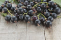 Jeanne Gooseberry