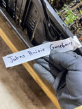 Jahns Prairie Gooseberry