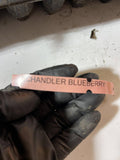 Chandler Blueberry
