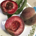 Indian Blood peaches cut in half on a plate, showing deep red flesh around the stone, next to a whole peach with dusky red skin