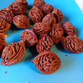 A pile of Indian Blood peach pits, deeply grooved and tinged with red
