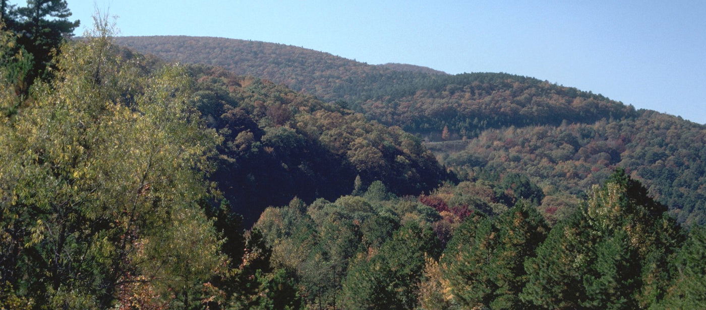 Talimena Scenic Drive, southeast Oklahoma