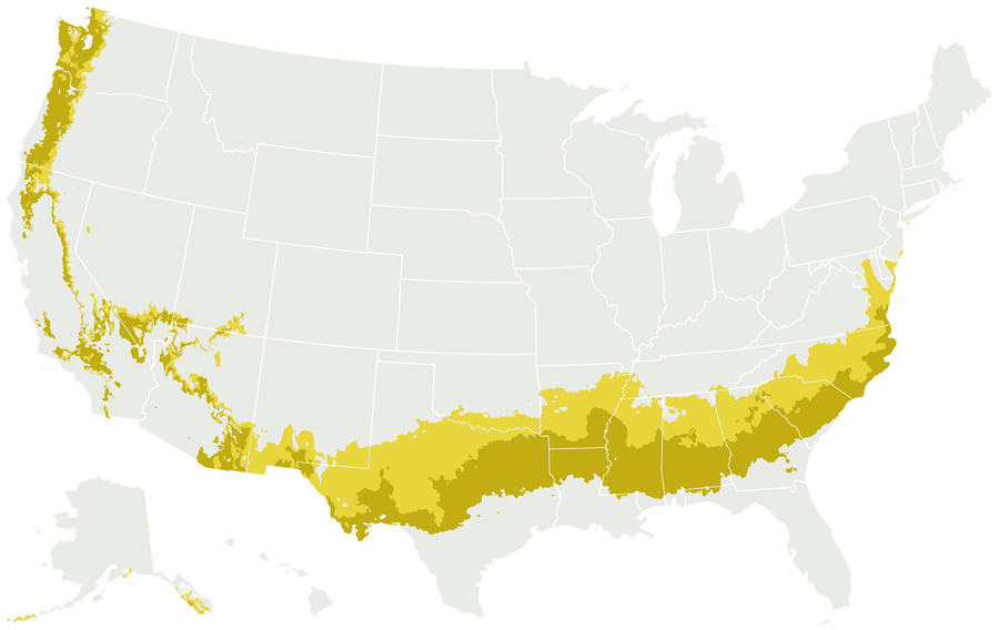 Map of the United States with USDA zone 8 shaded