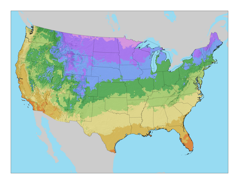 USDA Plant Hardiness Zone Map of the United States