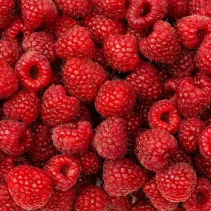 Heritage Raspberry