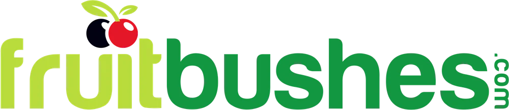 Fruit Bushes for Sale - Blackberry, Raspberry and More!